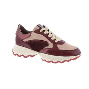 Dl Sport sneaker bordeaux