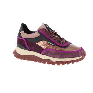 Floris van Bommel sneaker bordeaux