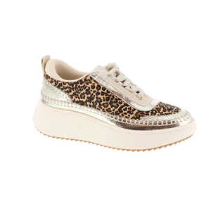 Steve Madden sneaker multi